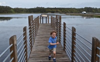 Choose Your Own Outdoor Adventure in Myrtle Beach, South Carolina