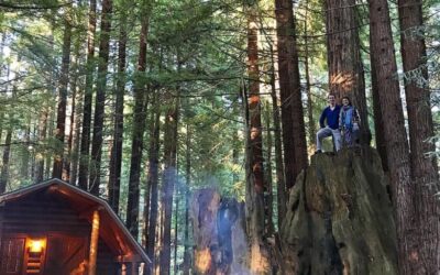 Campground Review #94 Crescent City/Redwoods KOA in California