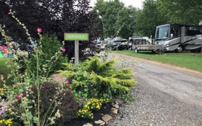 Campground Review #96 Whispering Hills Jellystone Park in Big Prairie, Ohio