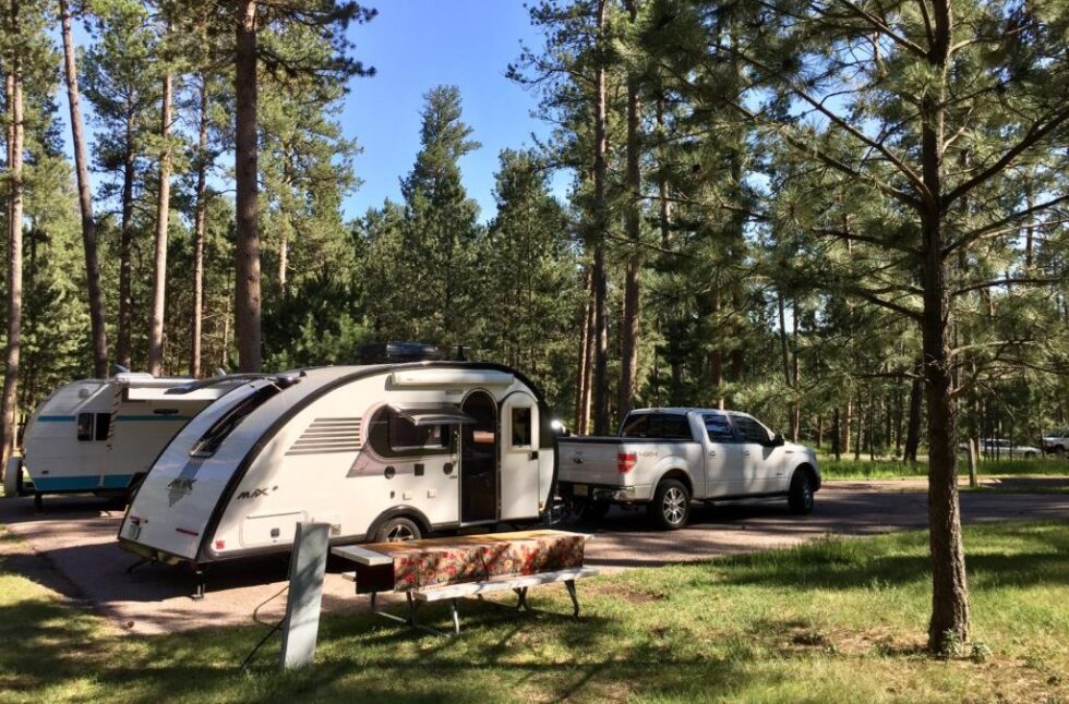 Custer State Park in the Black Hills of South Dakota