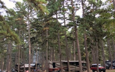 Campground of the Week #115 Petit Jean State Park in Arkansas