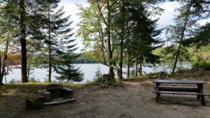 brown tract pond campsite