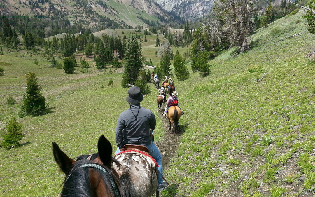 Eagle Cap Wilderness Pack Station The RV Atlas