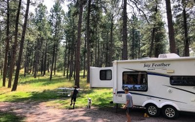 10 Amazing Things to Do in Custer State Park