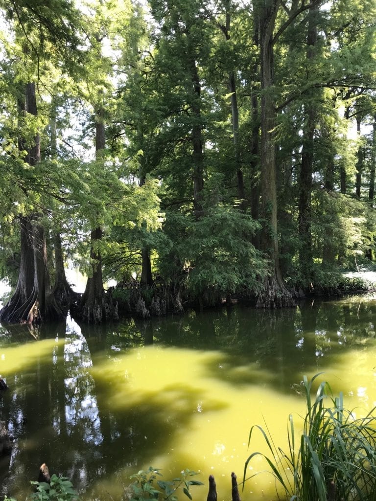 Reelfoot Lake State Park, List