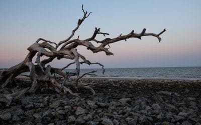 Jekyll Island: A Trip Planner from The RV Atlas