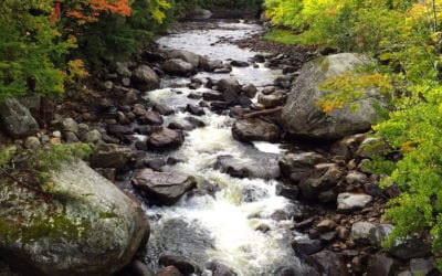 Underrated Camping Destinations: New York State