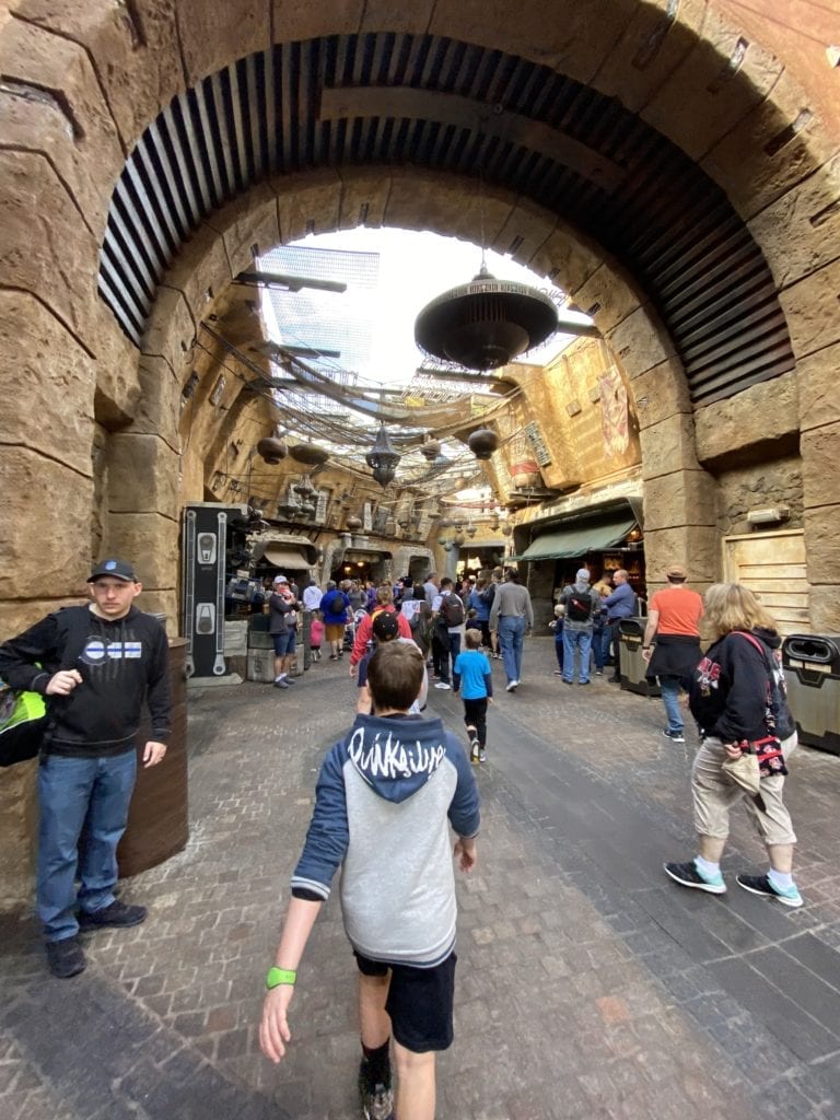 Galaxy's Edge land