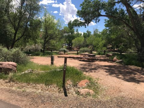 Watchman Campground in Zion National Park - The RV Atlas