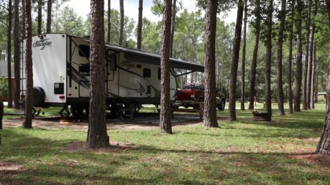 Jellystone Park of the Alabama Gulf Coast - The RV Atlas