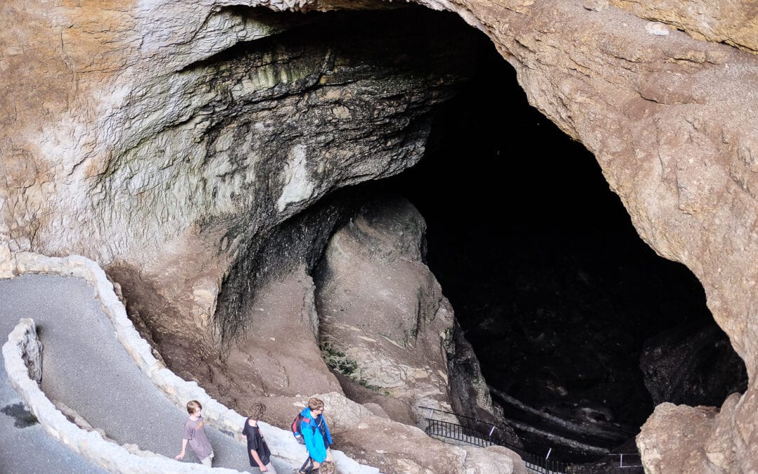 Carlsbad Caverns, New Mexico RV Road Trip!