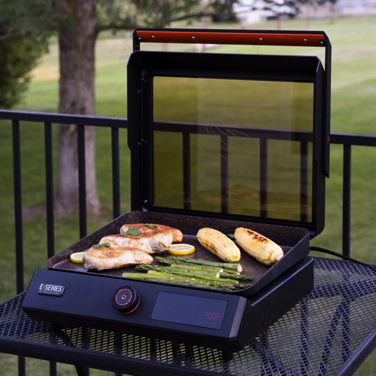 Blackstone E Series Manual