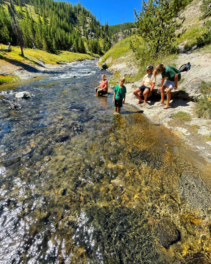 Yellowstone NP