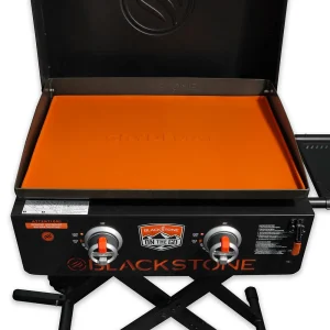 Should I Get a Camp Grill, Camp Griddle, or Camp Stove? - The RV Atlas