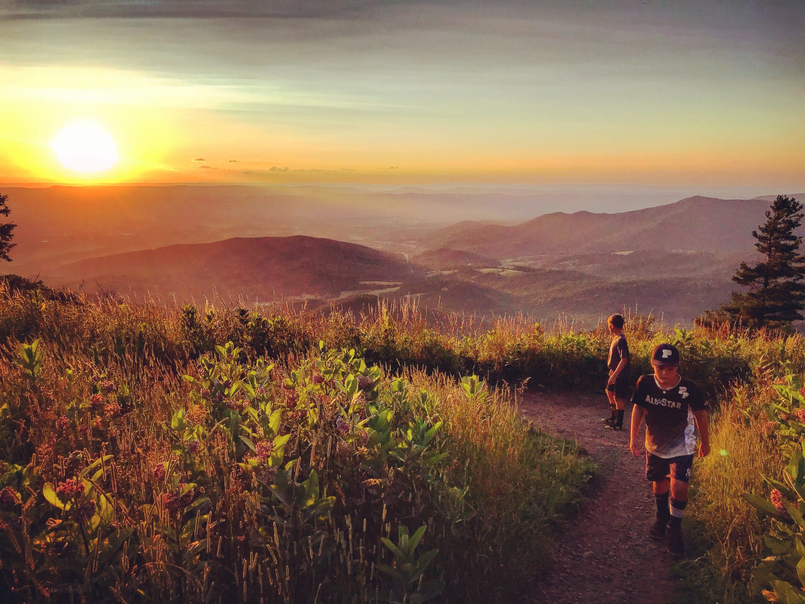 3EE87180-BC3C-41ED-BDDF-F49E94EEC43A