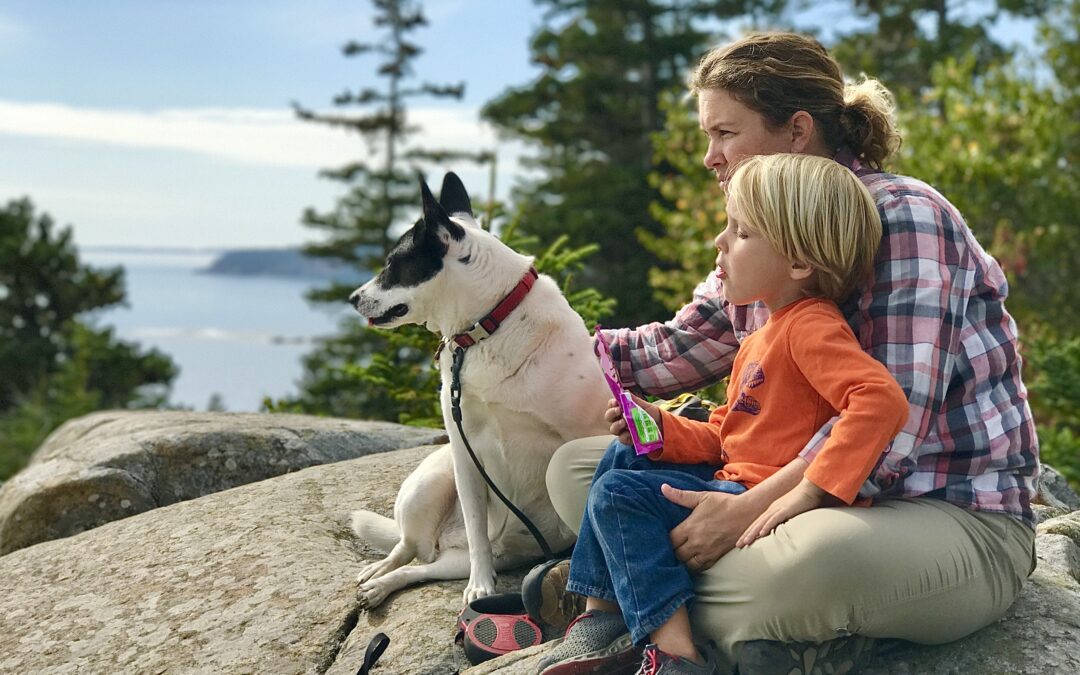 Adding a Dog to Your RVing Family: How to Find the Right Match