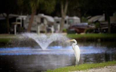Campground Review: Bay Bayou RV Resort in Tampa, Florida