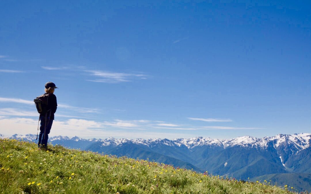 Olympic National Park: The Best Campgrounds, Activities, and Hidden Gems (w/ RV Out West)