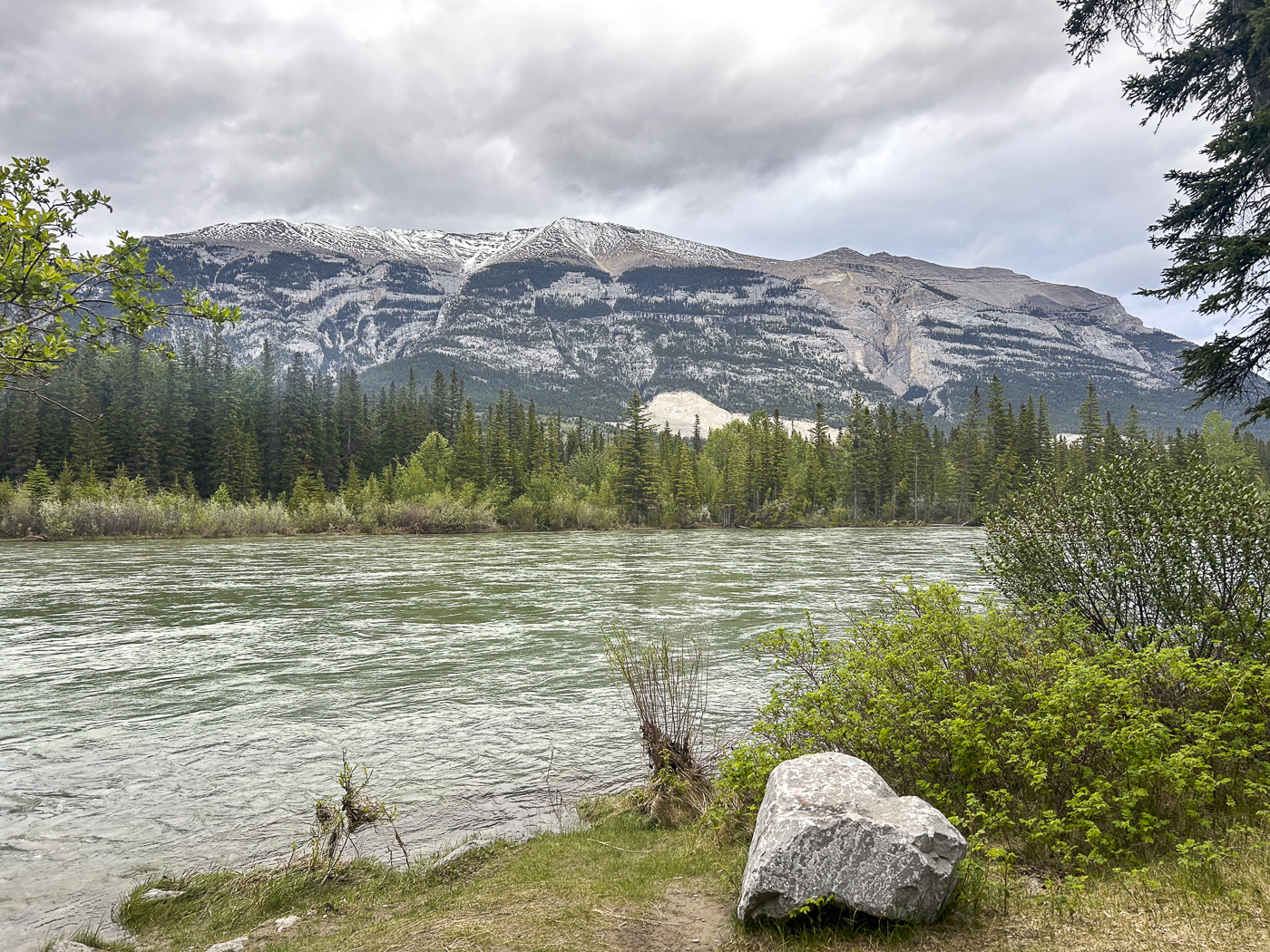 Bow River Campground