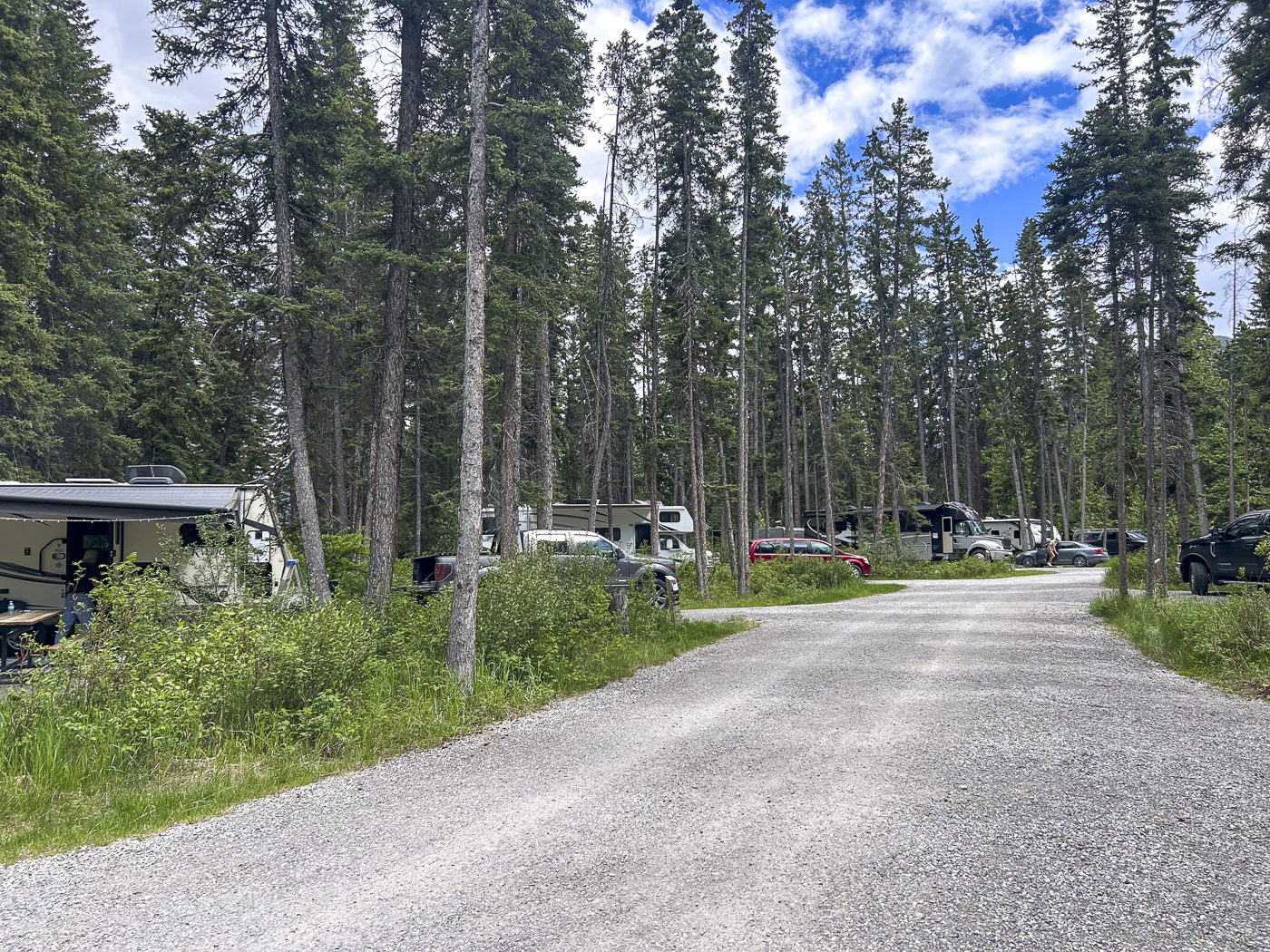 Bow River Campground
